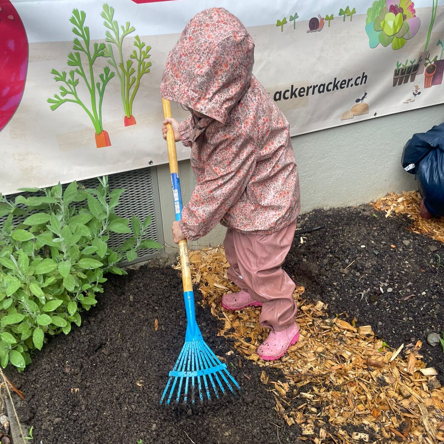 Die Kita im heimeligen Altbau im Uniquartier mit eigenem Garten