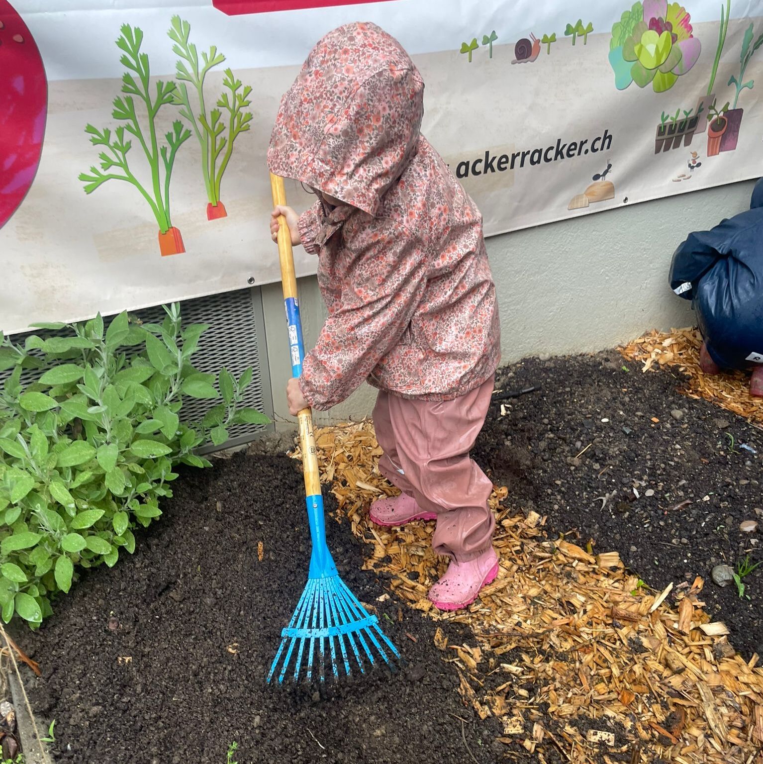 Daycare in a cozy old building at University District with own garden